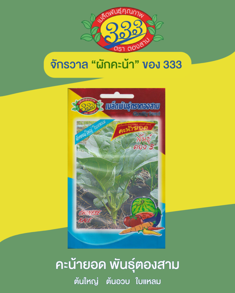 คะน้ายอด พันธุ์ตองสาม