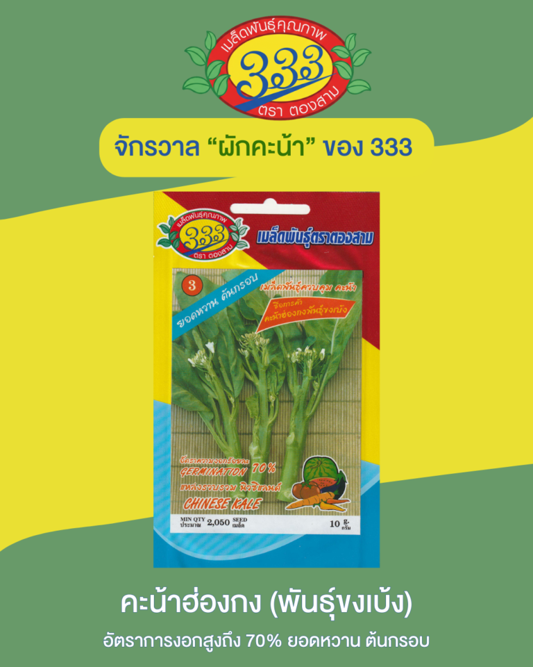 คะน้าฮ่องกง (พันธุ์ขงเบ้ง)