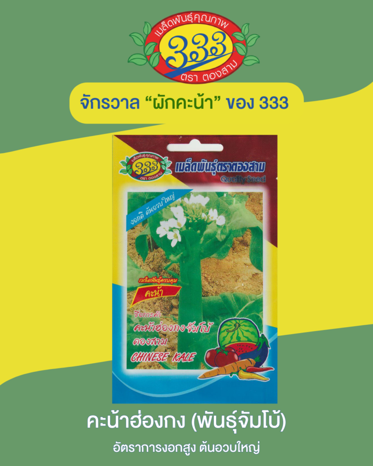 คะน้าฮ่องกง (พันธุ์จัมโบ้)