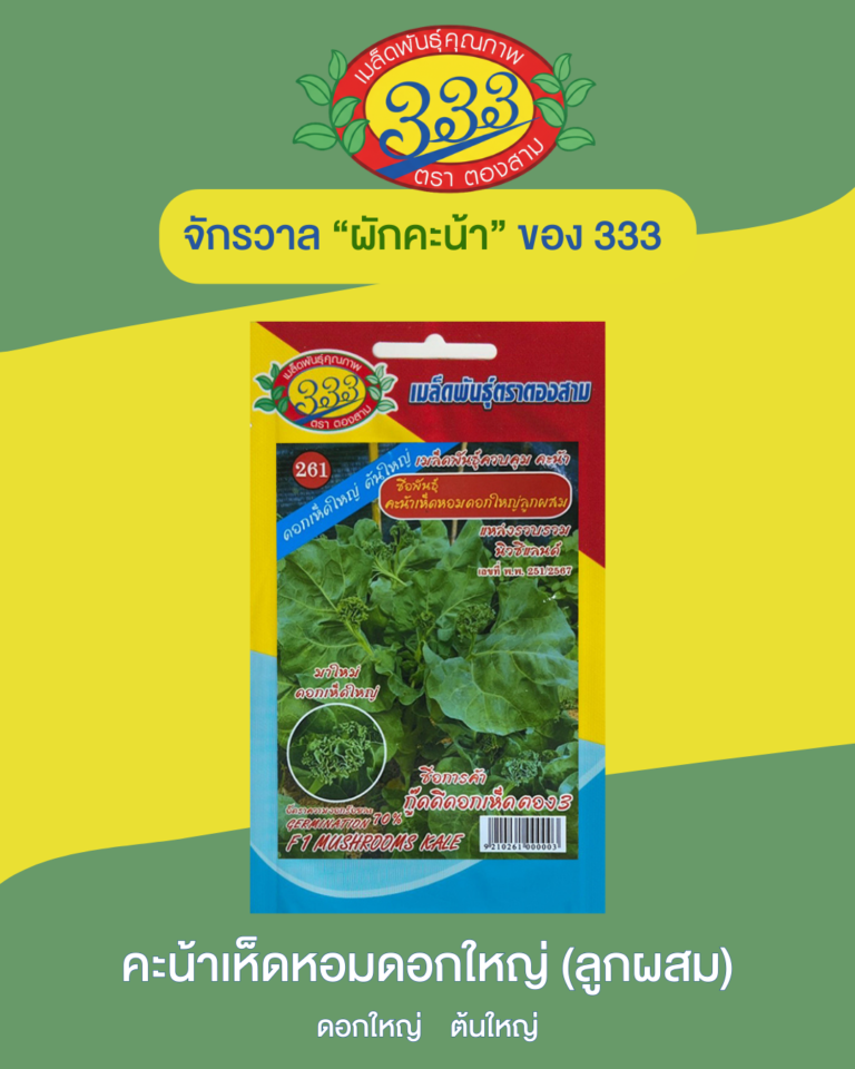 คะน้าเห็ดหอมดอกใหญ่ (ลูกผสม)