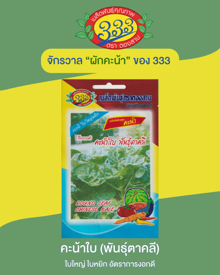 คะน้าใบ (พันธุ์ตาคลี)