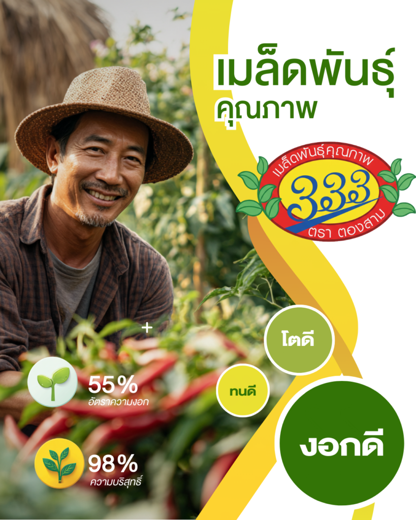 เกษตรกรถือผลผลิต พร้อมตราตองสาม 333 และอัตราความงอกของเมล็ดพันธุ์